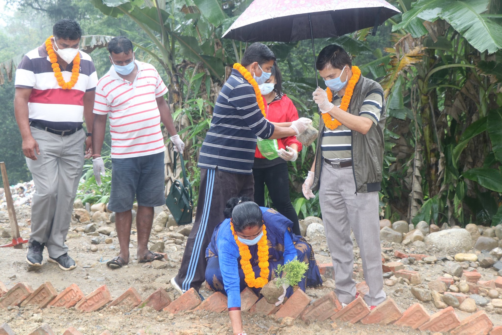 वातावरण दिवसमा ड्रम्पिङसाईडमा वृक्षा रोपन