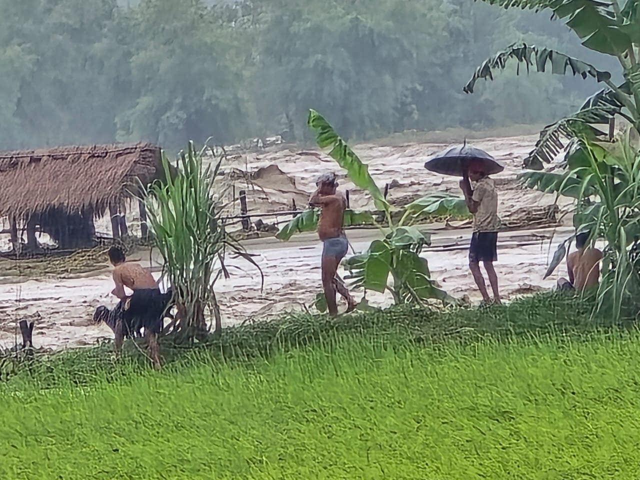 बाढीले हरिहरपुरगढीका ३५ घरगोठमा क्षति, २ करोड भन्दा बढि धानबाली नष्ट