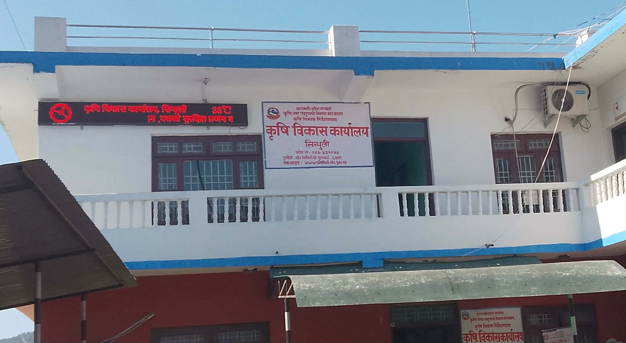 वर्र्षेे धानको क्षेत्रफल बढे पनि उत्पादन घट्यो