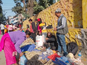 माघे संक्रान्ति नजिकिए सँगै चहलपहल बढ्यो