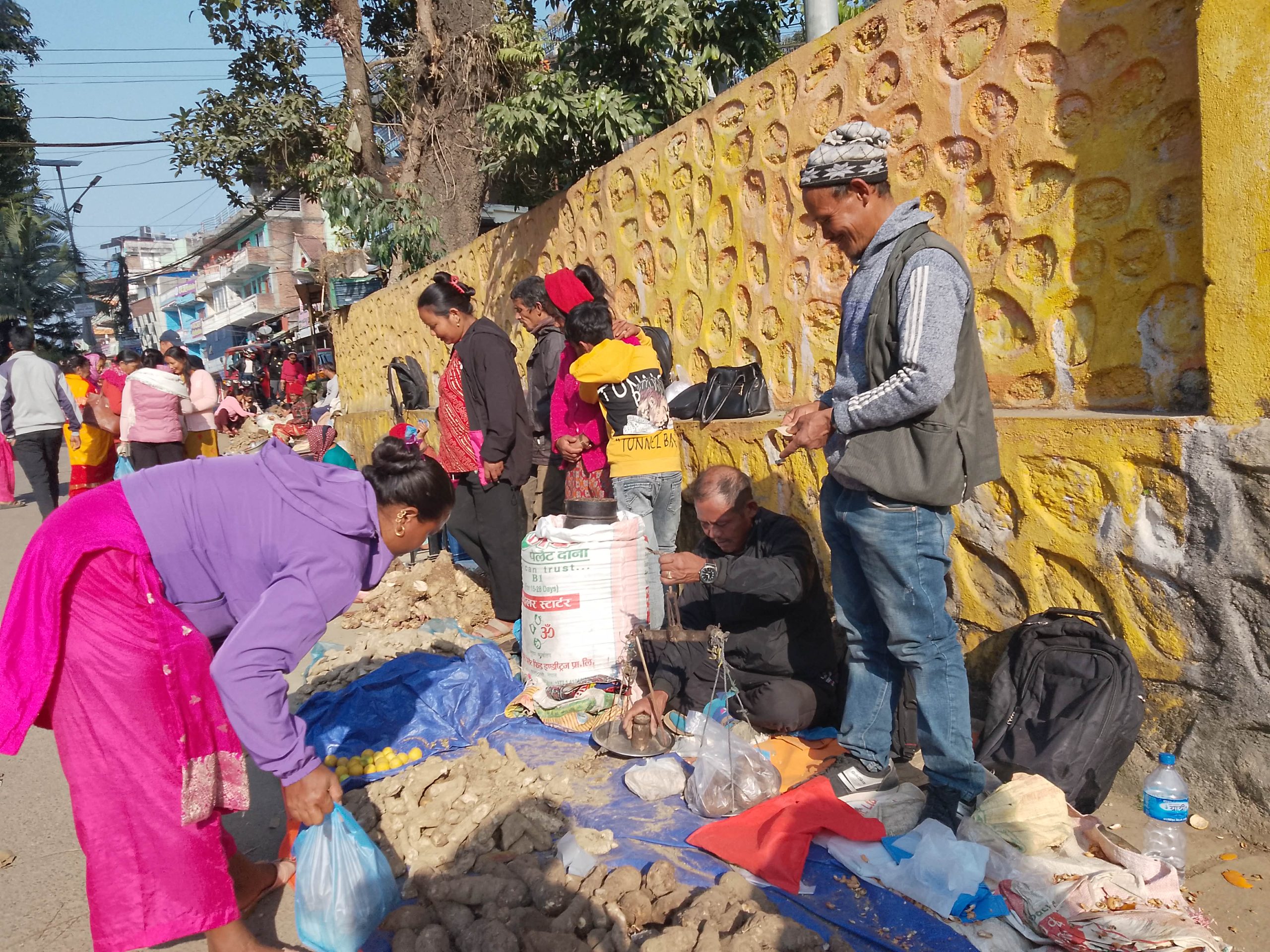 माघे संक्रान्ति नजिकिए सँगै चहलपहल बढ्यो