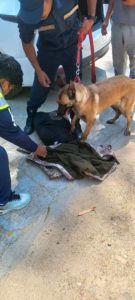 तालिम प्राप्त कुकुर सहितको प्रहरी टोलीले गरेको चेकजाँचमा ३ जना नियन्त्रणमा