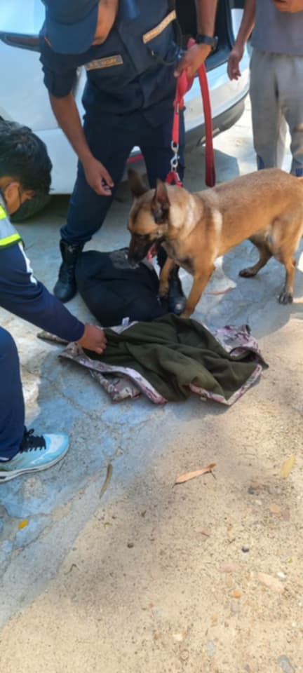 तालिम प्राप्त कुकुर सहितको प्रहरी टोलीले गरेको चेकजाँचमा ३ जना नियन्त्रणमा