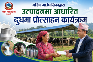 किसानको गोठदेखि ओठसम्मको यात्रामा मरिण सरकार