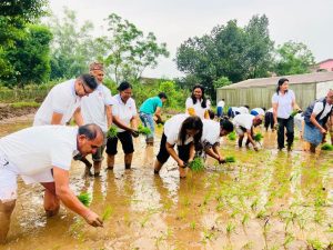 सिन्धुलीमा असारको अन्तिम सातासम्म ७३.८ प्रतिशत धान रोपाइँ सम्पन्न