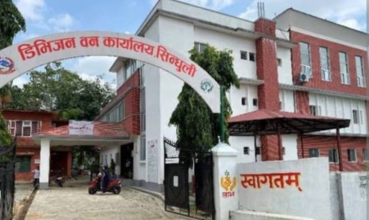 सिन्धुलीमा वन डढेलो आधाभन्दा बढी घट्यो