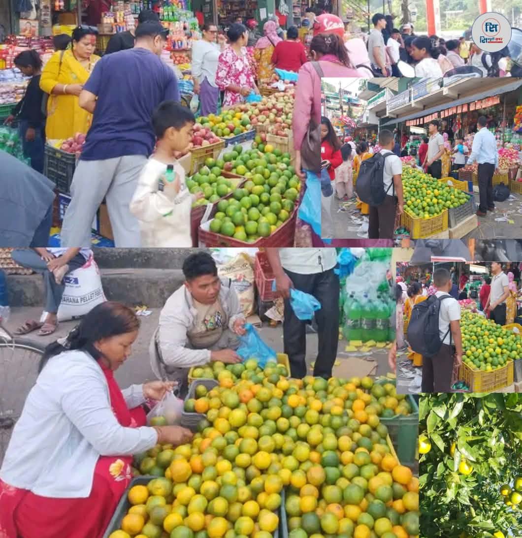 पाक्नुअघि नै बजारमा हरियो जुनार, बजार नपाउने चिन्ताले किसान बिक्री गर्न बाध्य